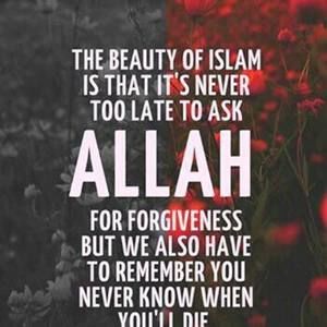 Meet your Posher, Ahmed